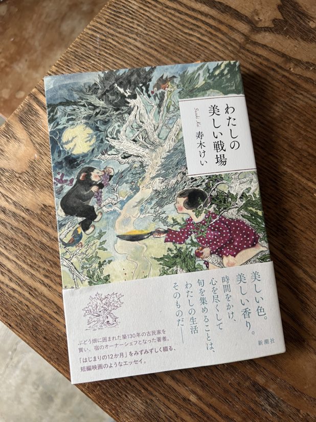 「わたしの美しい戦場」装丁画三星玲子